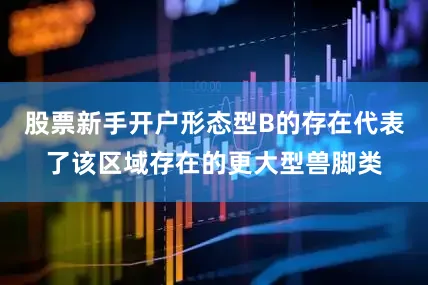 股票新手开户形态型B的存在代表了该区域存在的更大型兽脚类