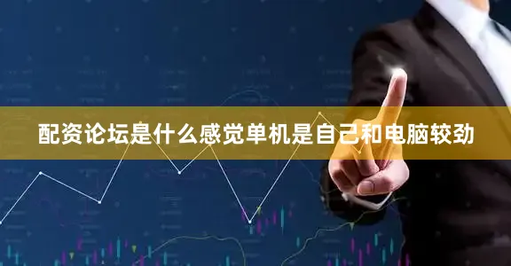 配资论坛是什么感觉单机是自己和电脑较劲