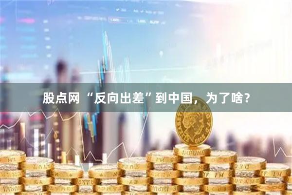 股点网 “反向出差”到中国，为了啥？