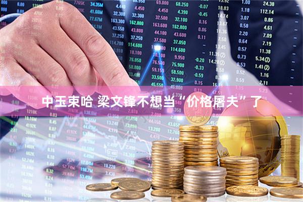 中玉束哈 梁文锋不想当“价格屠夫”了